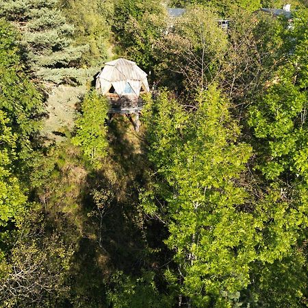 L'Oriel Du Senepy La Motte-dʼAveillans Exterior foto